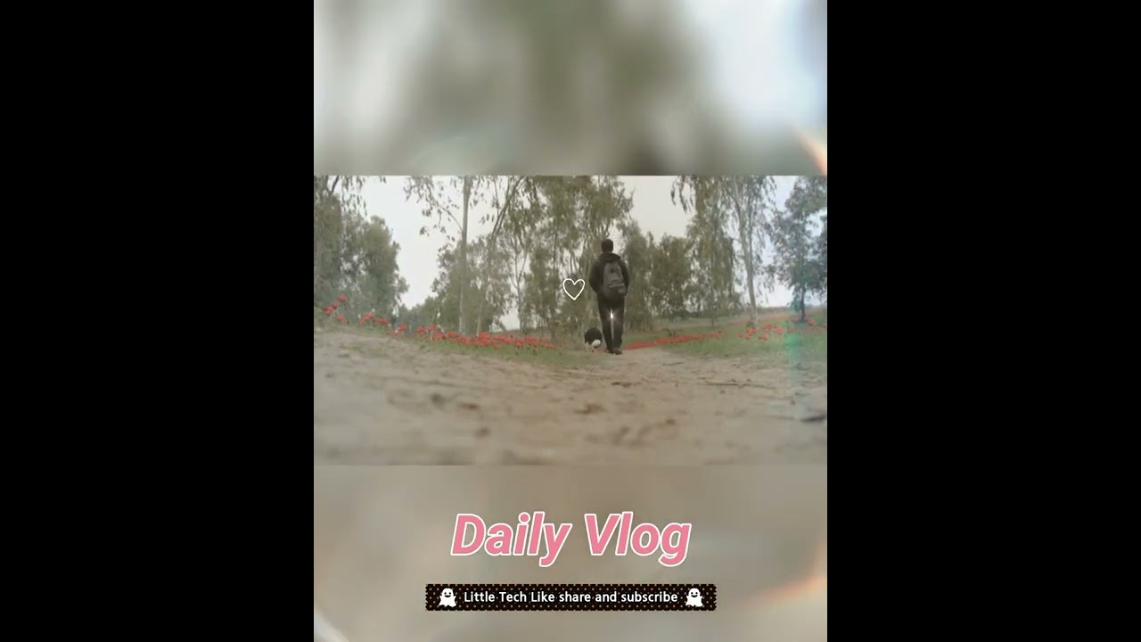 How to Train a Dog To Walk | Shorts video for dog | Animals Lover's |