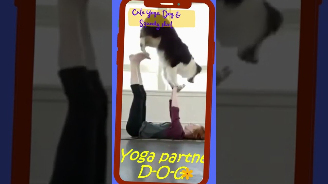 Cute dogs doing Yoga & squeeky shirt dogs.Yoga partner-Dog. Cute & awesome dogs. #shorts