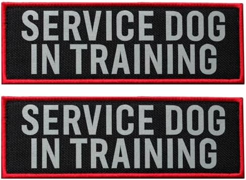FITZNORA 2 Pcs Reflective Service Dog in Training Patch Set with Hook …